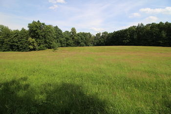 Prodej pozemku 48192 m², Frýdlant