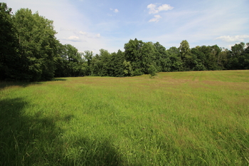 Prodej pozemku 48192 m², Frýdlant