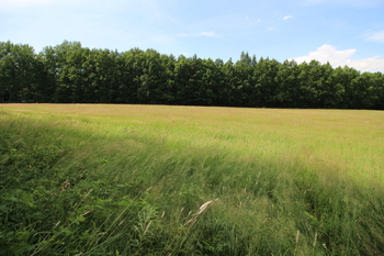 Prodej pozemku 48192 m², Frýdlant
