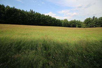Prodej pozemku 48192 m², Frýdlant