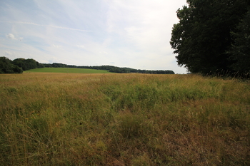 Prodej pozemku 48192 m², Frýdlant