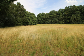 Prodej pozemku 48192 m², Frýdlant