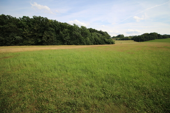 Prodej pozemku 25331 m², Frýdlant