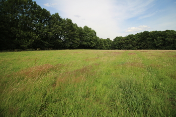 Prodej pozemku 48192 m², Frýdlant