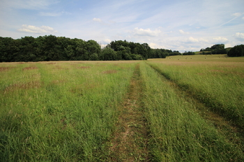 Prodej pozemku 48192 m², Frýdlant