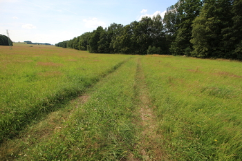 Prodej pozemku 48192 m², Frýdlant