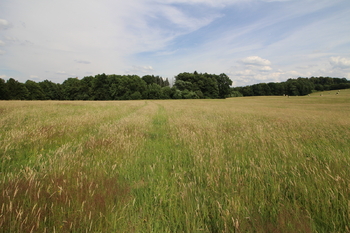 Prodej pozemku 48192 m², Frýdlant