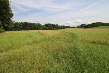 Prodej pozemku 48192 m², Frýdlant