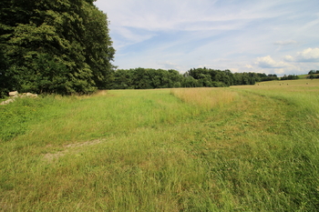 Prodej pozemku 48192 m², Frýdlant