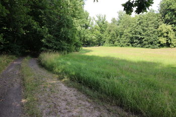 Prodej pozemku 48192 m², Frýdlant