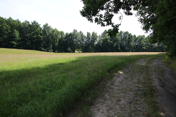 Prodej pozemku 48192 m², Frýdlant