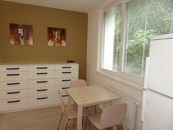 Pronájem bytu 1+1 v osobním vlastnictví 42 m², Znojmo