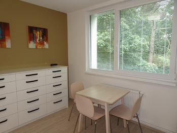 Pronájem bytu 1+1 v osobním vlastnictví 42 m², Znojmo
