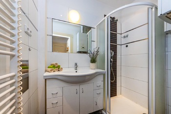 Pronájem bytu 1+1 Praha Žižkov - Pronájem bytu 1+1 v osobním vlastnictví 47 m², Praha 3 - Žižkov