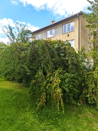 Prodej bytu 3+1 v osobním vlastnictví 62 m², Jindřichův Hradec