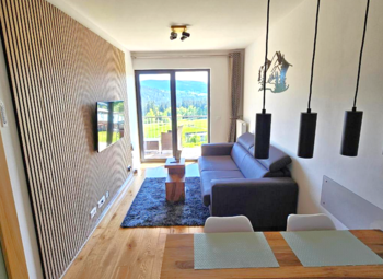 Obývací pokoj - Prodej bytu 2+kk v osobním vlastnictví 56 m², Janské Lázně