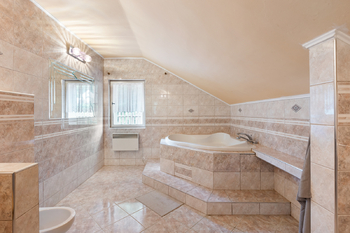 Prodej domu 380 m², Merklín