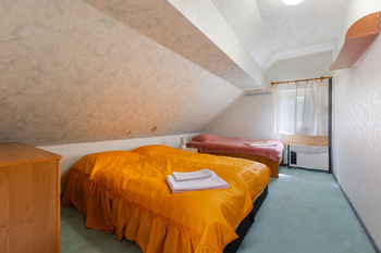 Prodej domu 380 m², Merklín