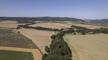 Prodej zemědělského objektu 310 m², Vražné
