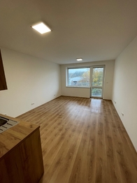 Pronájem bytu 1+kk v osobním vlastnictví 31 m², Břeclav