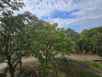 pohled z okna - Prodej bytu 1+kk v osobním vlastnictví 23 m², Louny