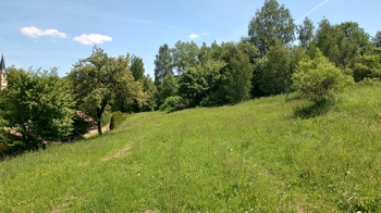 Prodej pozemku 946 m², Anenská Studánka