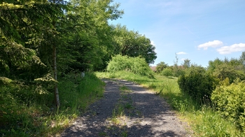 Prodej pozemku 1226 m², Anenská Studánka