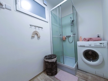 Pronájem bytu 1+1 v družstevním vlastnictví 24 m², Praha 4 - Nusle