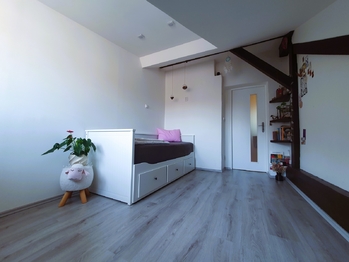 Pronájem bytu 1+1 v družstevním vlastnictví 24 m², Praha 4 - Nusle