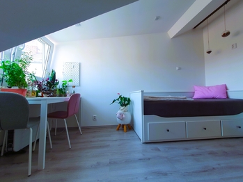 Pronájem bytu 1+1 v družstevním vlastnictví 24 m², Praha 4 - Nusle