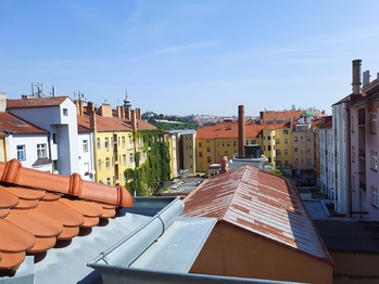 Pronájem bytu 1+1 v družstevním vlastnictví 24 m², Praha 4 - Nusle
