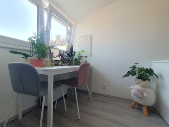 Pronájem bytu 1+1 v družstevním vlastnictví 24 m², Praha 4 - Nusle