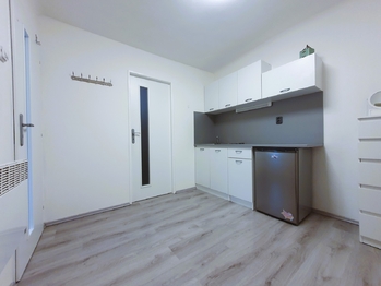 Pronájem bytu 1+1 v družstevním vlastnictví 24 m², Praha 4 - Nusle