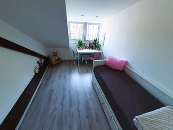 Pronájem bytu 1+1 v družstevním vlastnictví 24 m², Praha 4 - Nusle