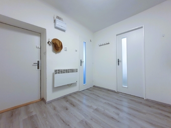 Pronájem bytu 1+1 v družstevním vlastnictví 24 m², Praha 4 - Nusle