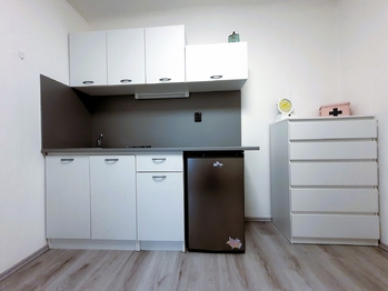 Pronájem bytu 1+1 v družstevním vlastnictví 24 m², Praha 4 - Nusle