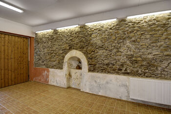 Prodej domu 541 m², Neustupov