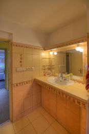 Prodej domu 541 m², Neustupov