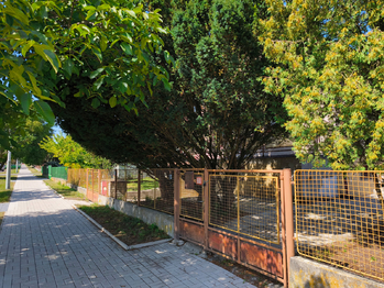 Prodej domu 230 m², Městec Králové
