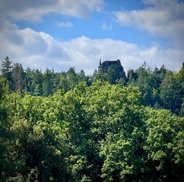 Prodej domu 1193 m², Malá Skála