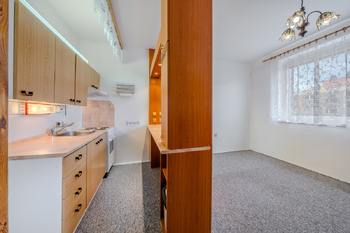 Prodej bytu 2+kk v družstevním vlastnictví 40 m², Ústí nad Labem