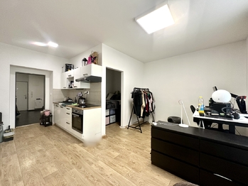 Pronájem bytu 1+1 v osobním vlastnictví 42 m², Brno