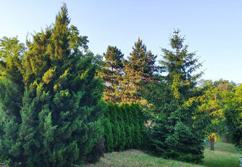 Prodej pozemku 1729 m², Brno