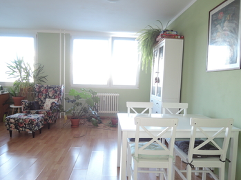 Pronájem bytu 1+kk v osobním vlastnictví 38 m², Kladno