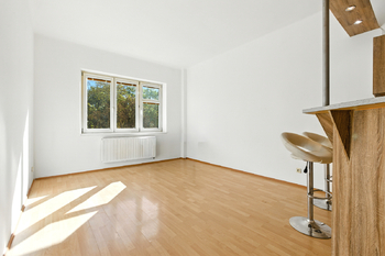 obývací pokoj s kuchyňským koutem - Pronájem bytu 2+kk v osobním vlastnictví 44 m², Praha 3 - Žižkov