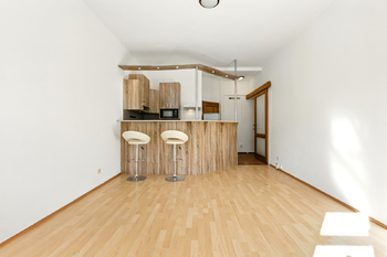 obývací pokoj s kuchyňským koutem - Pronájem bytu 2+kk v osobním vlastnictví 44 m², Praha 3 - Žižkov