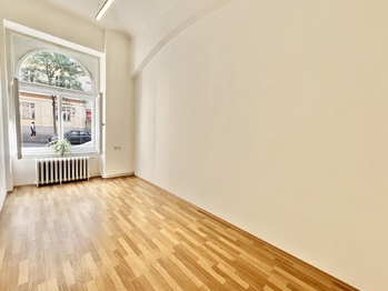 Pronájem bytu 2+1 v osobním vlastnictví 60 m², Praha 2 - Vinohrady