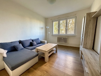 Pronájem bytu 1+kk v osobním vlastnictví 19 m², Brno