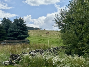 Prodej domu 160 m², Dolní Morava