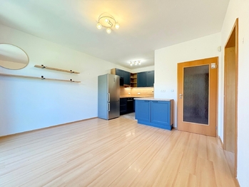Pronájem bytu 1+1 v osobním vlastnictví 47 m², Praha 6 - Dejvice